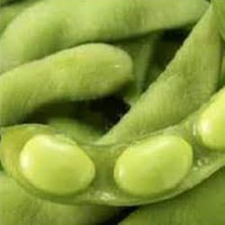 Glicin szója protein