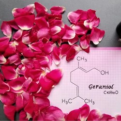 geraniol