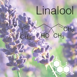 linalool