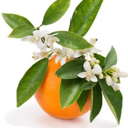 Bio Narancsvirág víz