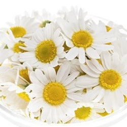 Bio Római kamilla víz